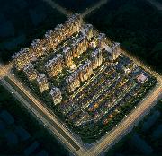 (11)�ڰ�������