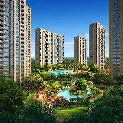 (5)��������ɫ����